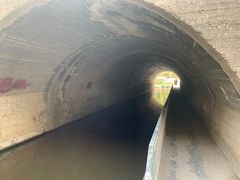 -白水寺森林公园