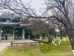 -江心屿景区