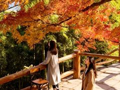 -莫干山风景区