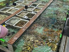 -景好海鲜餐厅(大鹏必选旅游店)