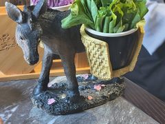 -慢丽江·云南野生菌土鸡锅(付家庄店)