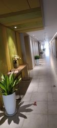 -雪绒花月子会所(万安店)