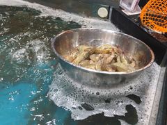 活虾-盒马鲜生(曜一城店)