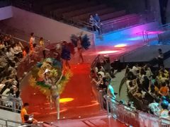 -灵玲国际马戏城