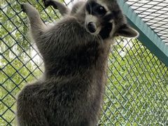 -水上乐园·欢乐世界