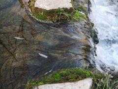 -沕沕水生态风景区