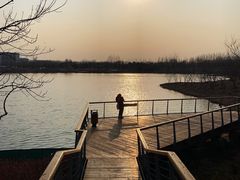 -东郊湿地公园
