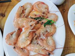 -海胆公主南澳岛美食海鲜
