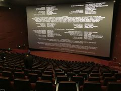 -悦江新远影城IMAX