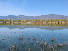 -野鸭湖国家湿地公园
