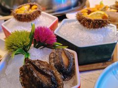 -苏大嘴蒸汽海鲜·海胆蒸饺(中山广场店)