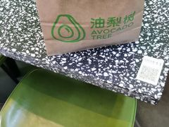 -油梨树AVOCADO TREE(顺义新国展店)