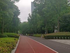 -北外滩滨江绿地