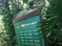 -呀诺达热带雨林