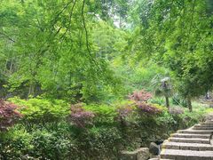 -莫干山风景区