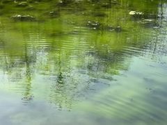 -羊山湖公园