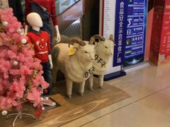 -北李妈妈菜·海肠捞饭(高新万达店)