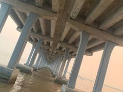 -宝安西湾红树林湿地公园