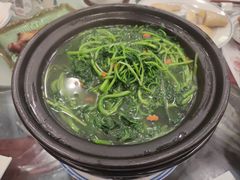 -中国大酒店·食街