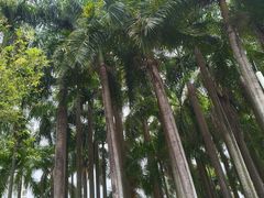 -竹子林(地铁站)