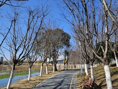 -月湖风景区