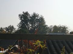 -四喜小胖·北京涮肉(五道营店)