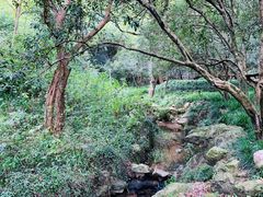 -杭州花家山庄