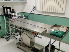 -欧奕国际动物医院