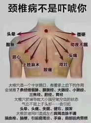 -香薇妮丝·定制减肥·身材管理