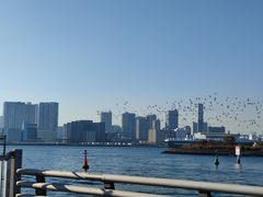 -台场海滨公园船码头
