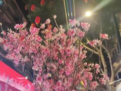 -越秀西湖花市(广州城市广场花卉店)