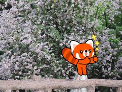 -南溪山景区