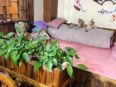 -果松木炭酸菜铜火锅·外婆参鸡汤