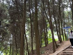 -金堂县云顶石城风景区