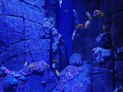 -成都浩海立方海洋公园