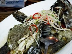 蒸石斑-道南書院·私房菜·早午茶·茶馆