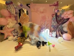 -觅糖派对·宝宝宴生日宴一站式派对策划(河西店)