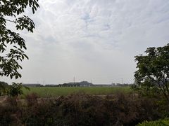 -长洲岛