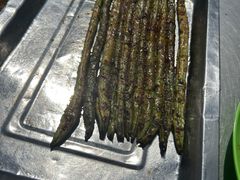 -玉园烧烤·海鲜辣炒