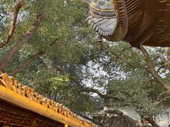 -西园戒幢律寺