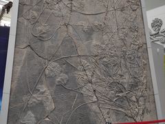 -中国地质大学逸夫博物馆