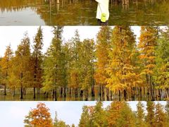 -白鹭湾湿地公园