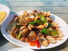 姜葱炒花甲-七鲜渔港美食餐厅(巽寮湾海景店)