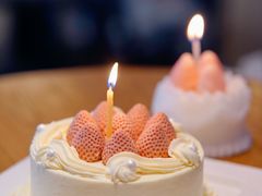 -壹点壹客·生日蛋糕(南山店)