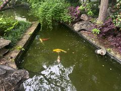-广富林宰相府酒店·水云间