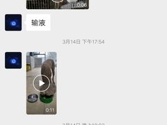 -宠颐生贝利健动物医院(谢家湾分院)