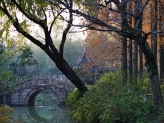 -上海醉白池公园