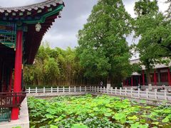 -明湖楼·经典鲁菜山东海鲜(大明湖店)