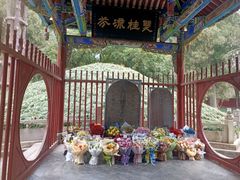 -武侯墓风景区