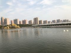 -菊园百果园